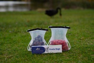 The Future of Food Storage: Innovative Eco-Friendly Container Designs